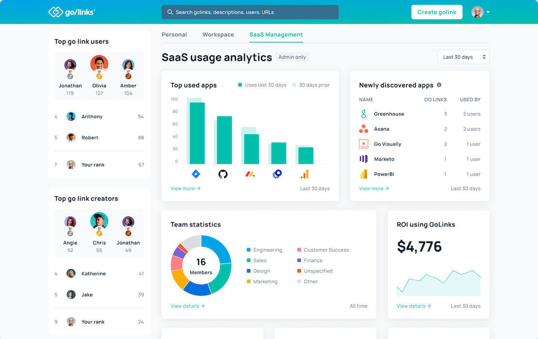 Go Links® graphic analytics dashboard